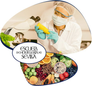 Fundación IDEHS - Escuela Superior de Hostelería de Sevilla
